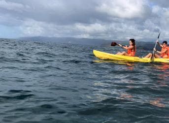 Las Terrenas : Whale watching & Kayaking — Guided tour and outdoor activity