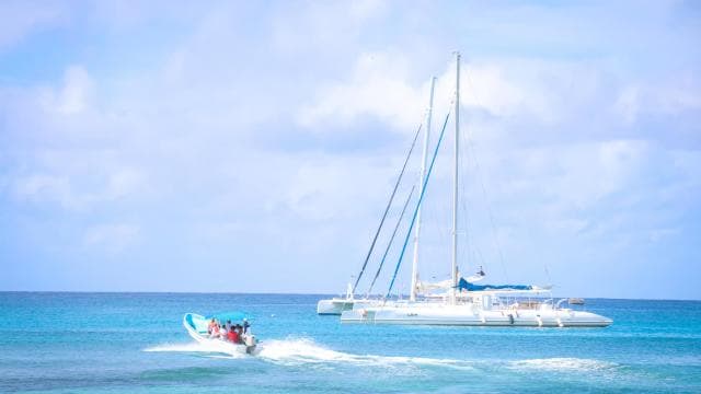 Punta Cana: Katamaran zur Insel Saona — Guided tour and outdoor activity