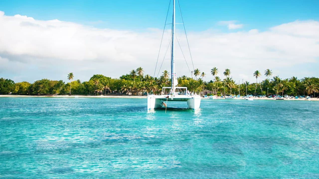 Von Punta Cana: Ganztagestour zur Isla Saona mit Mittagsbuffet — Guided tour and outdoor activity