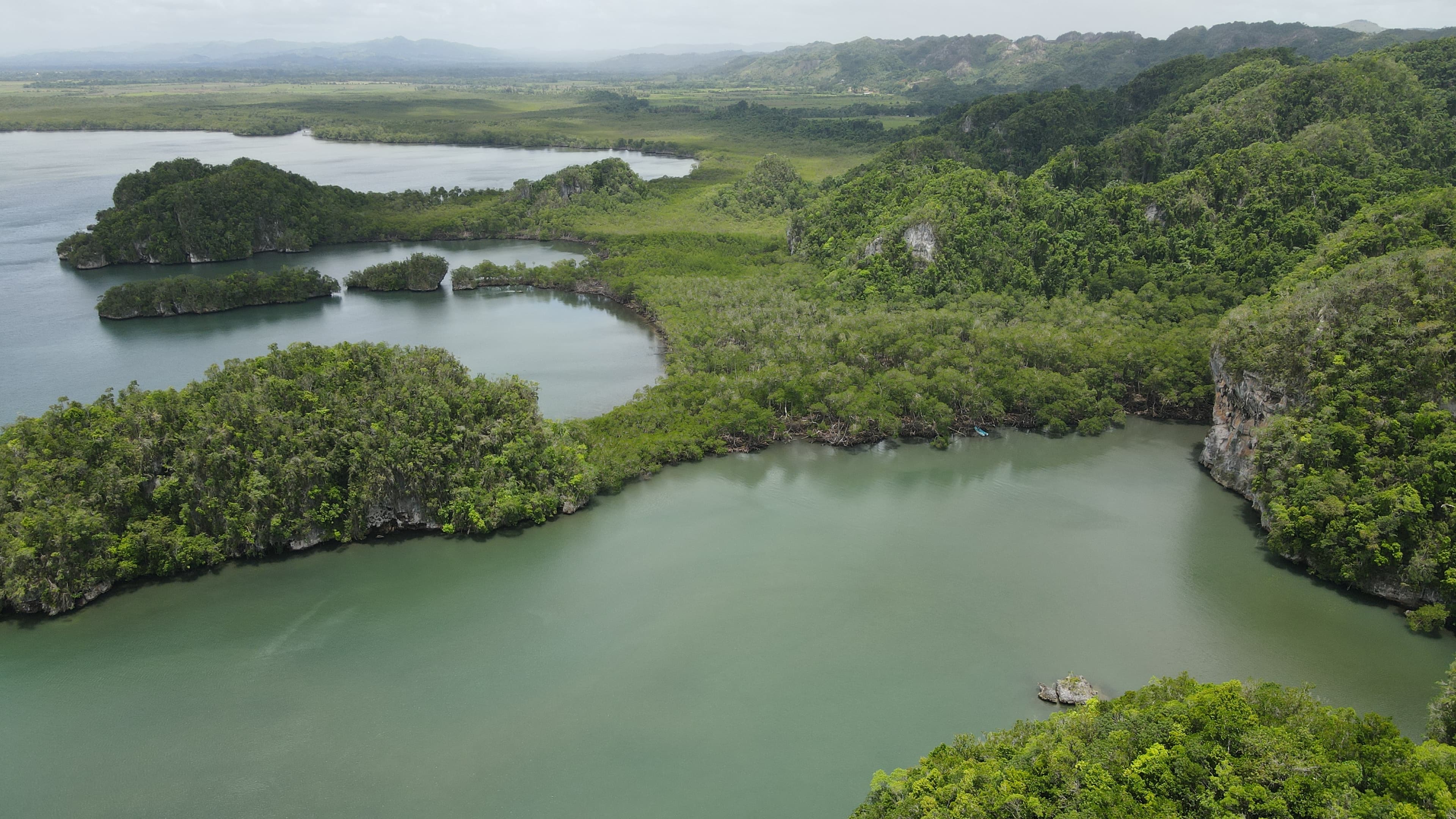 Los Haitises from Samaná: Boat Tours, Caves & Mangroves