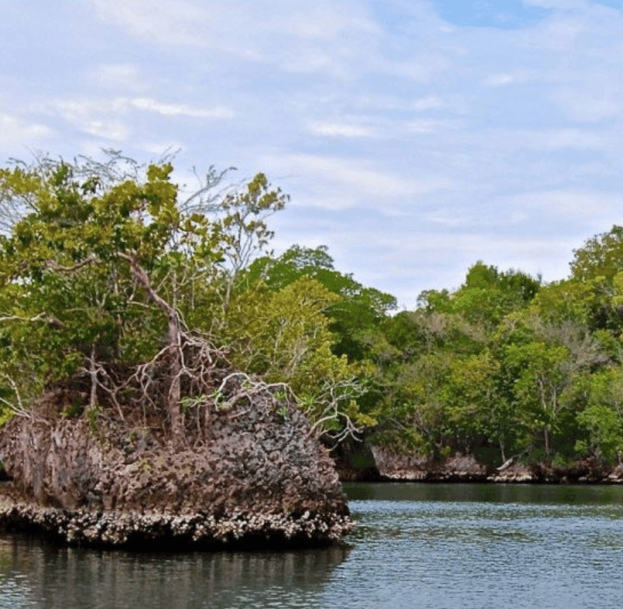 4in1: Los Haitises+ Kajakfahren+ Naturbecken+ Montana Redonda — Guided tour and outdoor activity