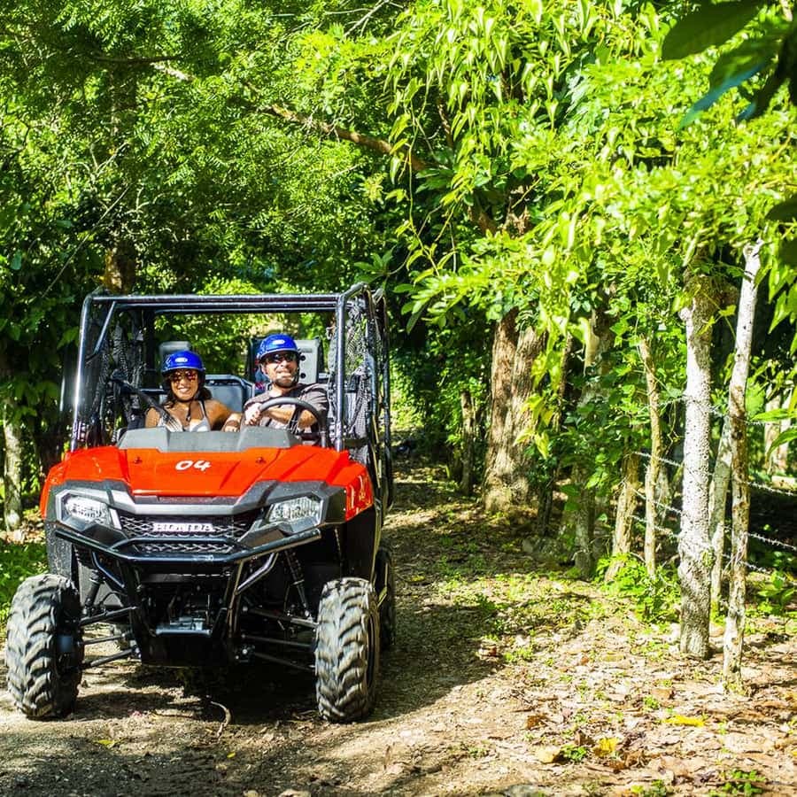 Bayahibe/La Romana: 4x4 Buggy a Monkeyland Tour — Guided tour and outdoor activity