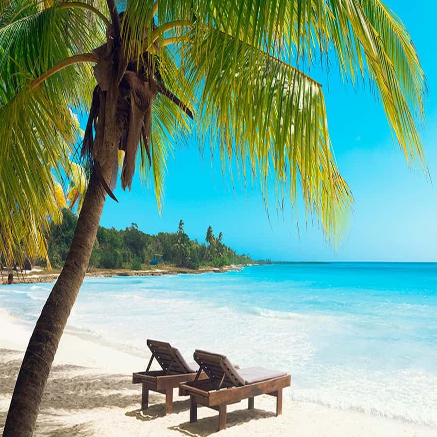 Juan Dolio: Saona Island Full-Day Tour with Lunch and Drinks — Guided tour and outdoor activity