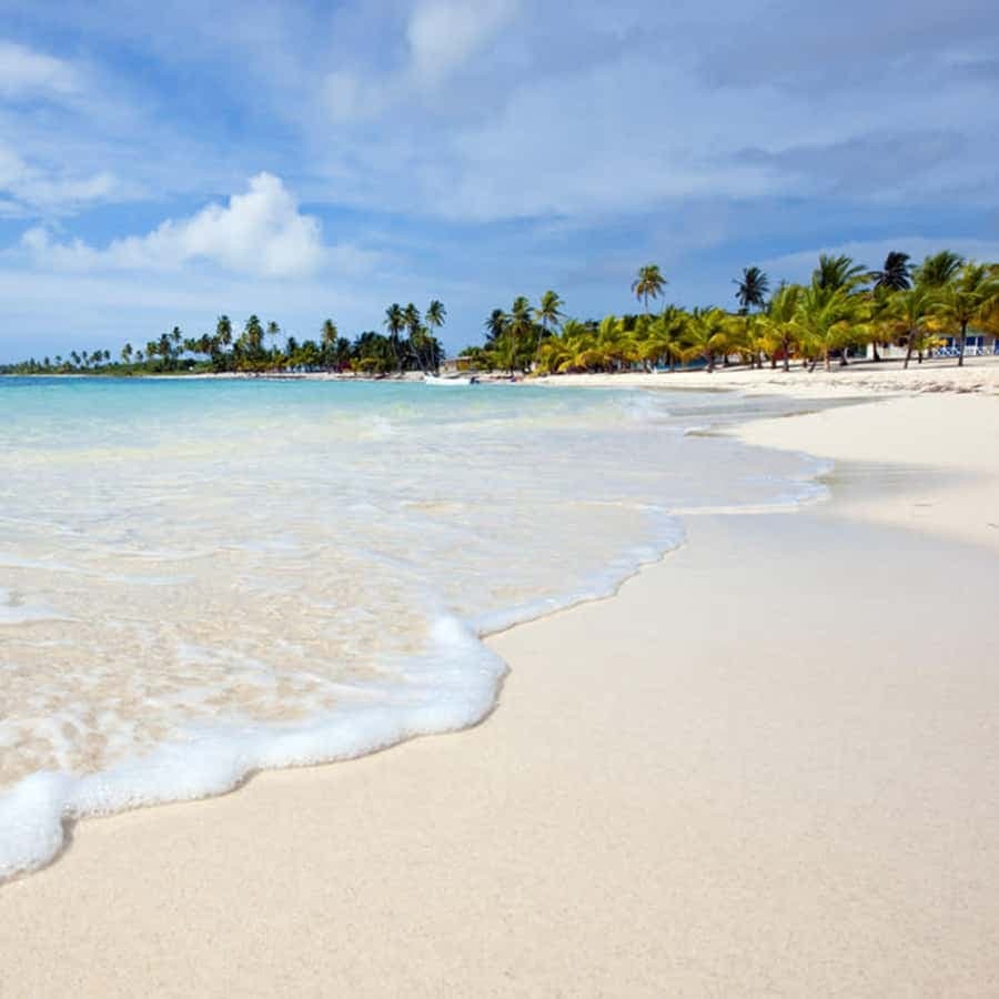 Punta Cana: Isla Saona Speedboat Tour with Snorkeling — Guided tour and outdoor activity