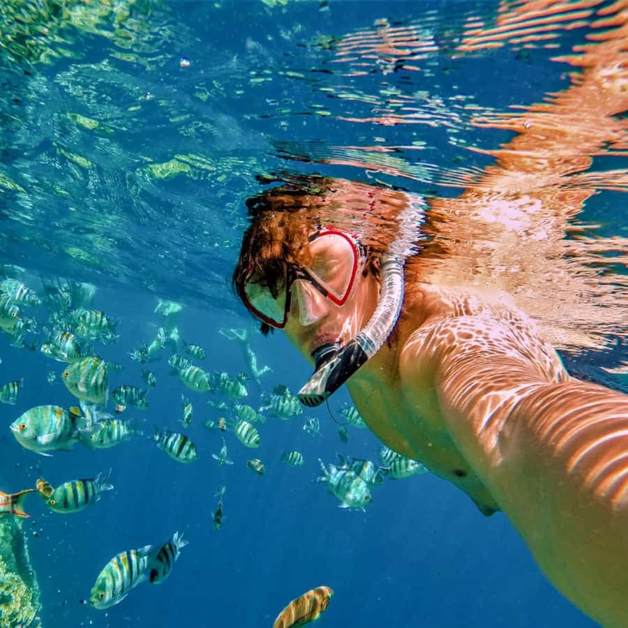 Bayahibe: Šnorchlování a potápění na ostrově Catalina — Guided tour and outdoor activity
