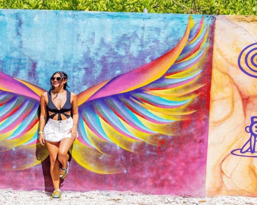 Punta Cana: Umění a lesní cesta Celodenní prohlídka s obědem — Guided tour and outdoor activity