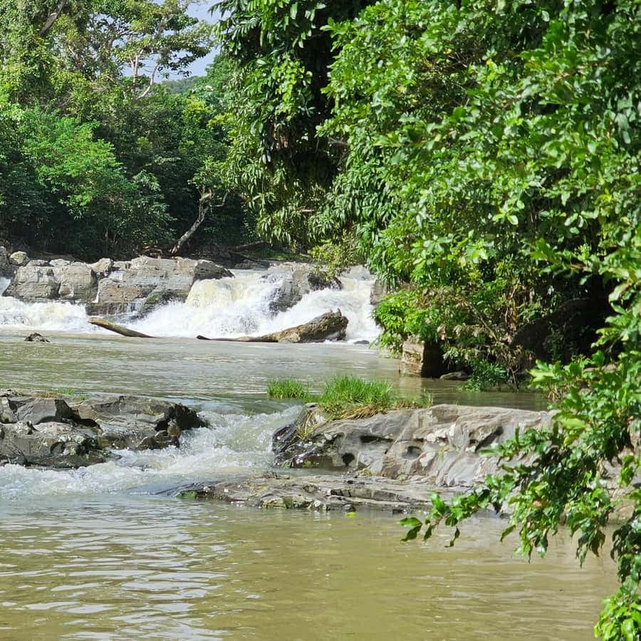 Individual full-day tour "Land & People" - from/to Bávaro/Punta Cana — Guided tour and outdoor activity