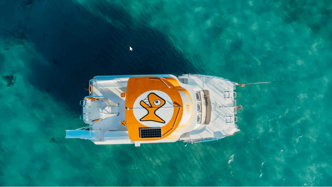 Punta Cana: Catamaran Tour with Food, Drinks, and Snorkeling — Guided tour and outdoor activity