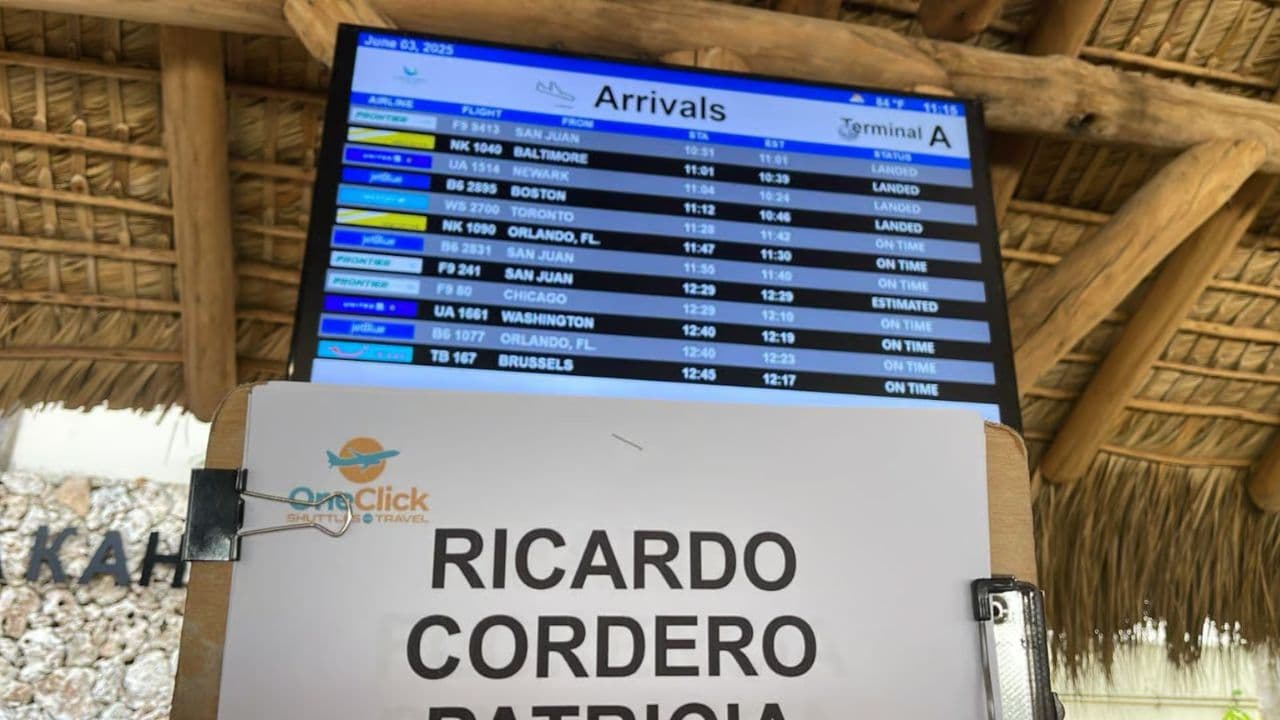 Punta Cana: One-Way Transfer from The Airport — Guided tour and outdoor activity
