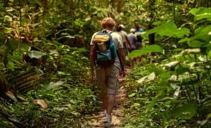 Hiking trails in Barahona (Dominican Republic). Cachote Mountains, Tropical Fruits & Swim — Guided tour and outdoor activity