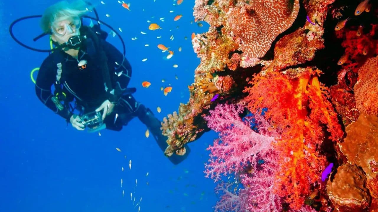 Punta Cana 40ft Freizeittauchabenteuer — Guided tour and outdoor activity