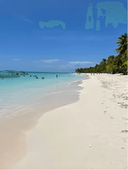From Santo Domingo: Isla Saona Day Trip with Catamaran Ride — Guided tour and outdoor activity