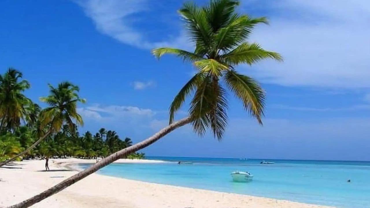 All-Inclusive-Tagesausflug zur Insel Saona ab Punta Cana — Guided tour and outdoor activity