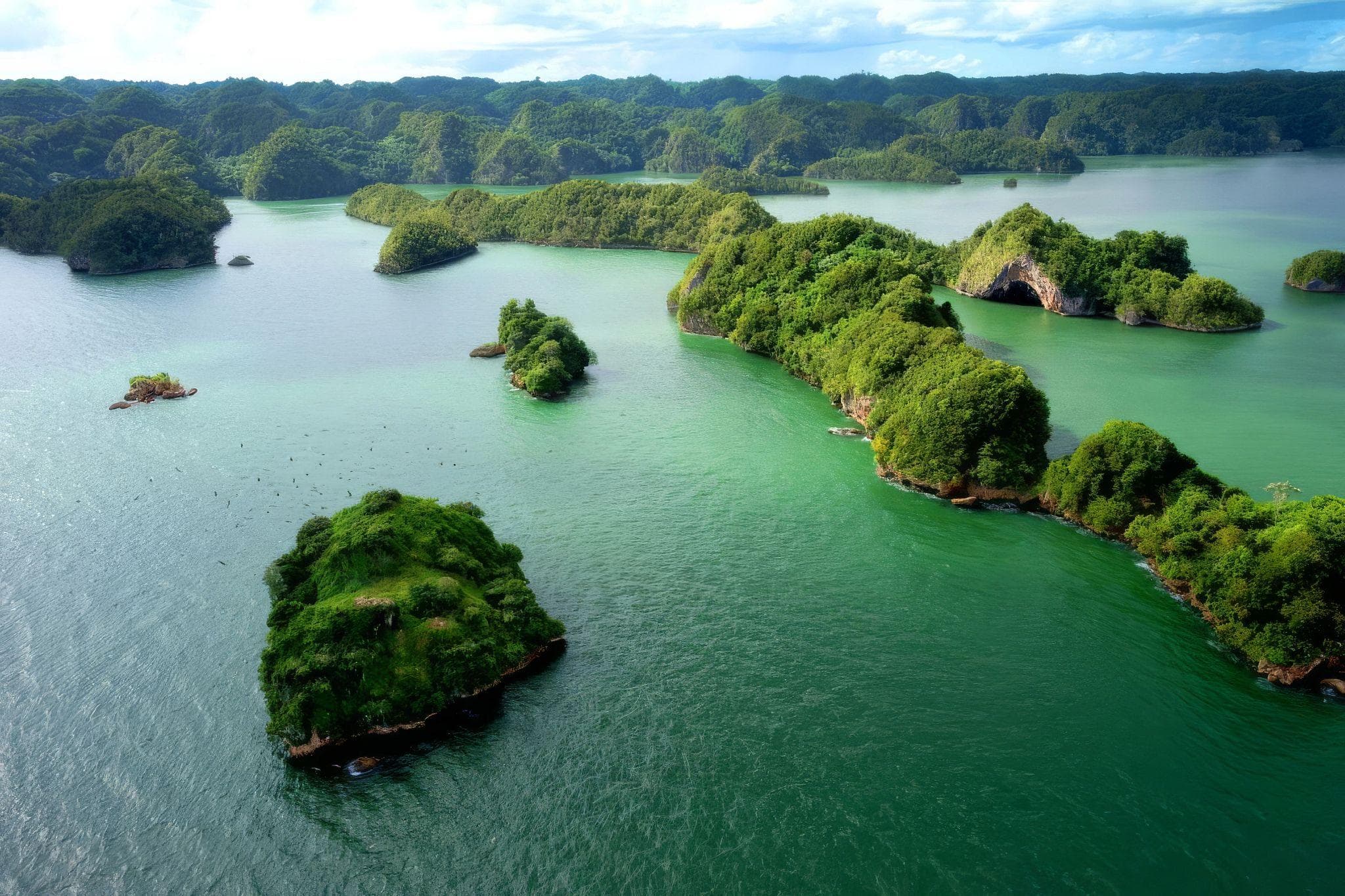 TOP LOS HAITISES TOURS (BOOKING LINKS INCLUDED)