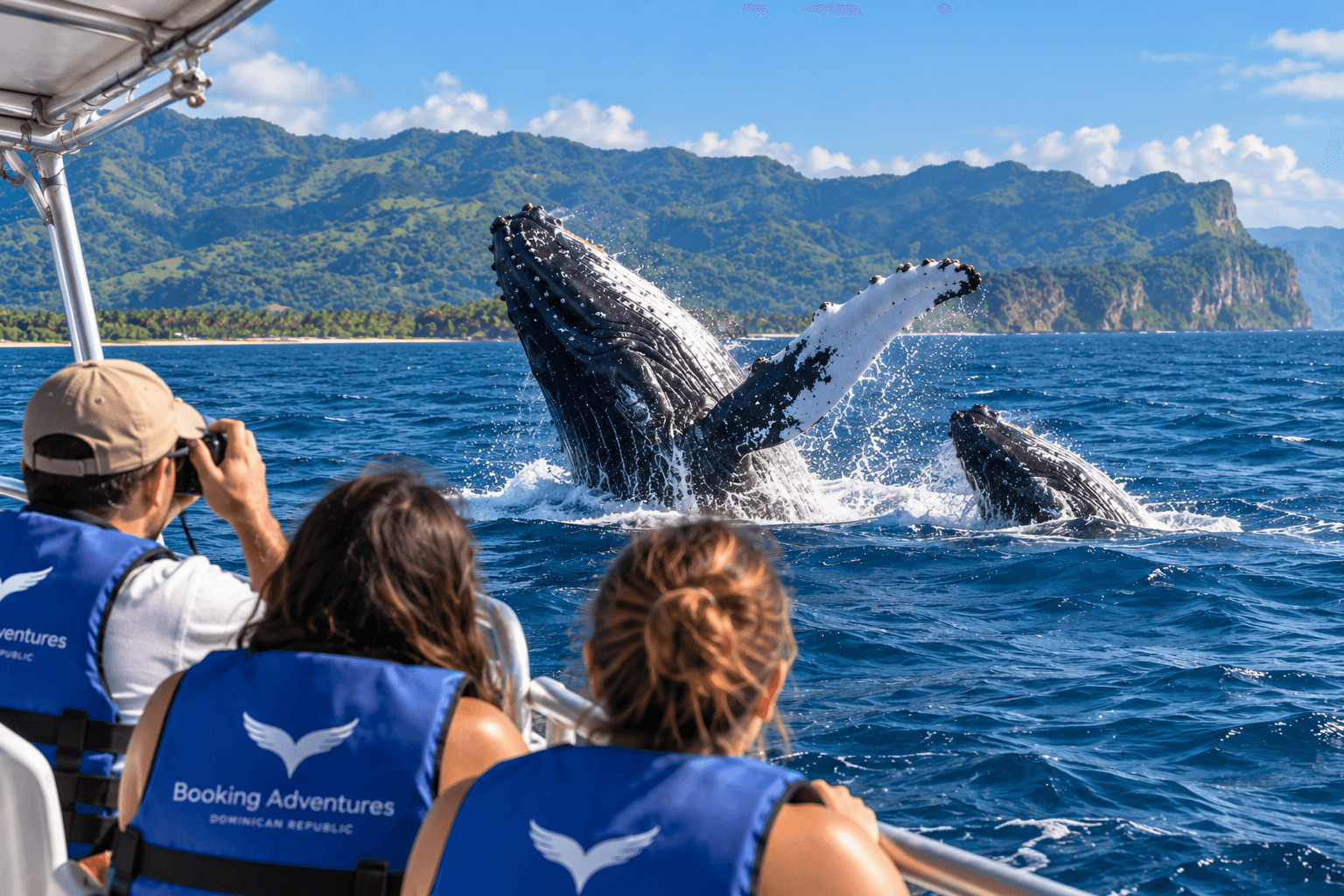 Best Whale Watching Tours in Samaná: Which Tour Should You Book?